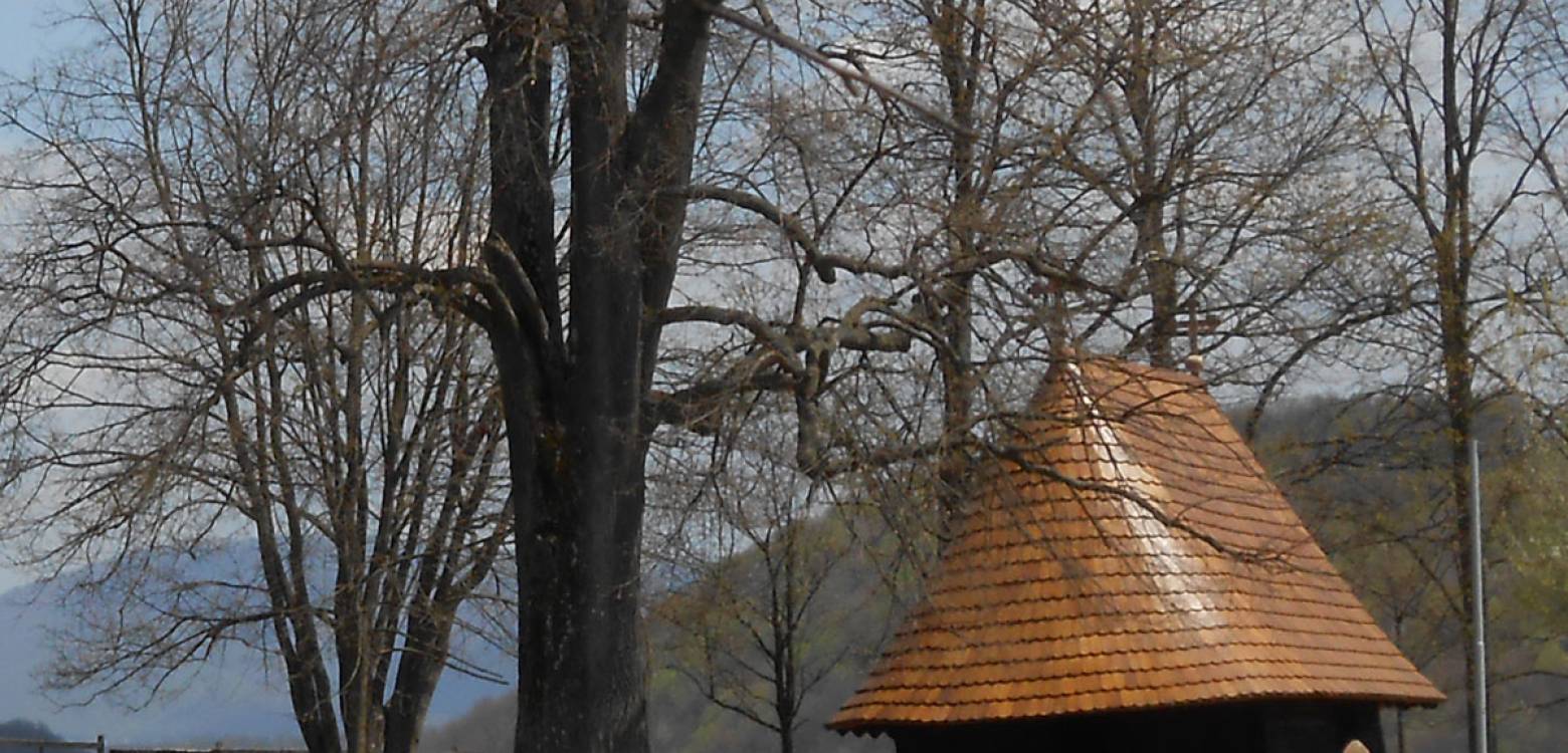 Simbol ustanka i vere